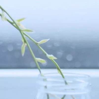 飓风战魂之热血陀螺破解版下载